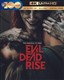 Evil Dead Rise 4K