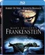 Mary Shelley's Frankenstein