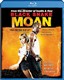 Black Snake Moan