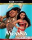 Moana 4K