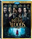 Into The Woods