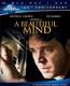 A Beautiful Mind