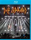 Def Leppard : Live In Detroit ( 2017 )