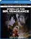 Sympathy For Mr. Vengeance