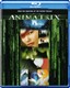 The Animatrix